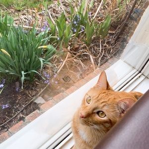 Meet your Posher, Amy